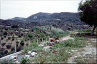 Zaros