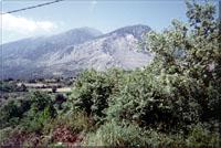 Zaros